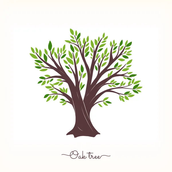 Roble hermoso árbol — Vector de stock