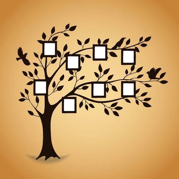 Árbol familiar con marcos de fotos — Vector de stock