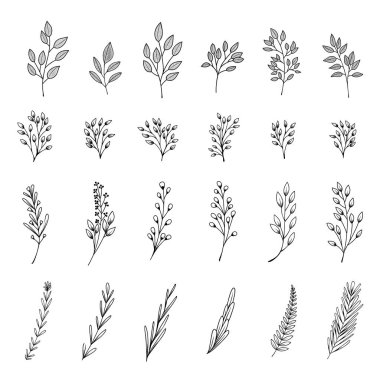 Bloom vektör toplama