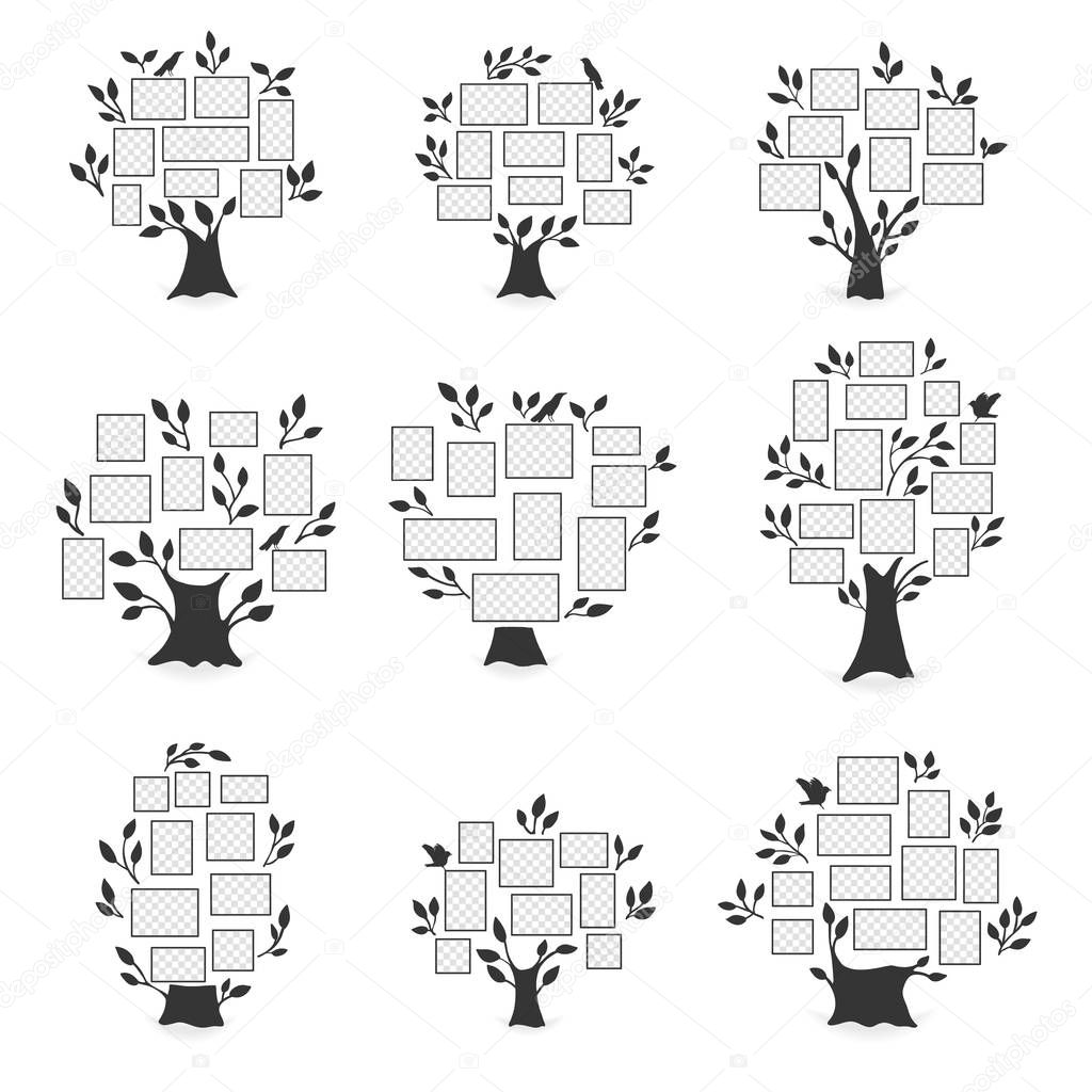 Family trees with photo frames.