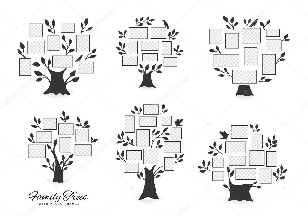 Family trees with photo frames.