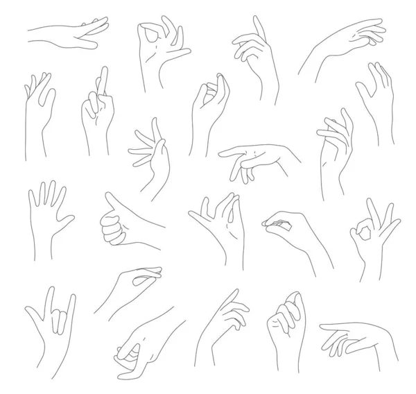 Collection of hands and fingers. — Stock Vector