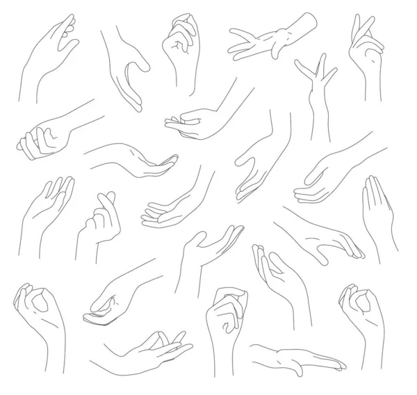 Verzameling van handen en vingers. — Stockvector