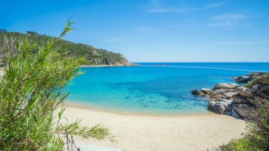 İtalya 'nın Elba Adası' ndaki Cavoli Plajı 'nda insanlar yok. Toskana Takımadaları Ulusal Parkı. Akdeniz kıyısı. Tatil ve turizm konsepti. 