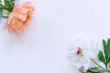 Beyaz ve pembe şakayıklar beyaz beton zeminde, tebrik kartları, anneler günü, düğün davetiyesi, çiçekçi konsepti. 