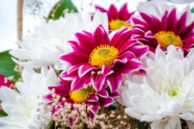Güzel Gerbera çiçek sepeti. Çiçek hediyesi..