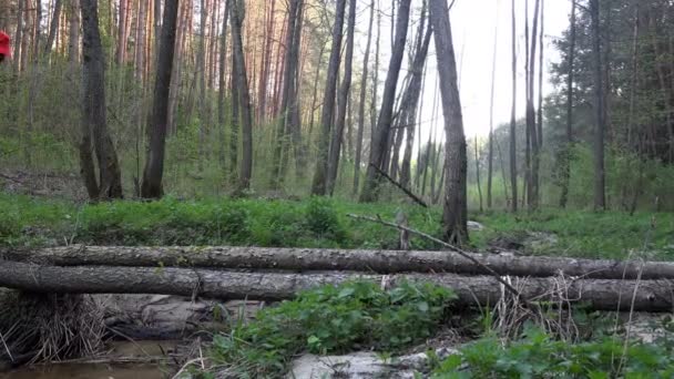 Hombre maduro viajero con mochila cruza cautelosamente a través de la corriente de troncos de madera — Vídeo de stock