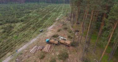 Karpatu, Sumy - Ukrayna - 18 Mayıs 2018: yavaş yavaş aşağı zeminde, özel araba ile ormansızlaşma gövde ağacı döşeme ağaçların gövdeleri gösterilen ormansızlaşma üzerinde uçan havadan görünümü