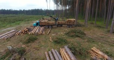 Karpatu, Sumy - Ukrayna - 18 Mayıs 2018: yavaş yavaş aşağı zeminde, özel araba ile ormansızlaşma gövde ağacı döşeme ağaçların gövdeleri gösterilen ormansızlaşma üzerinde uçan havadan görünümü