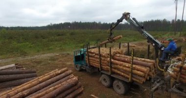 Karpatu, Sumy - Ukrayna - 18 Mayıs 2018: yavaş yavaş aşağı zeminde, özel araba ile ormansızlaşma gövde ağacı döşeme ağaçların gövdeleri gösterilen ormansızlaşma üzerinde uçan havadan görünümü