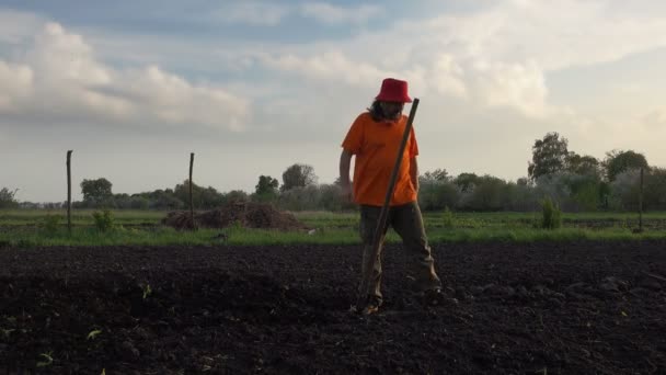 有胡子的成熟农夫用手工具锄耕种土地 在农村风景的领域背景 — 图库视频影像