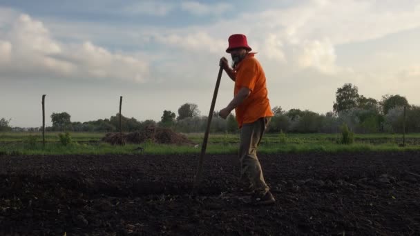 Bebaarde Volwassen Boer Cultiveert Land Met Een Hand Gereedschap Schoffel — Stockvideo