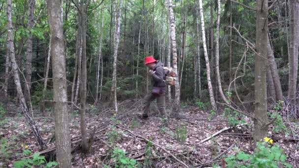 旅行者は 中年の男性を歩く暗い 野生では 恐ろしい森蚊を飛んで — ストック動画