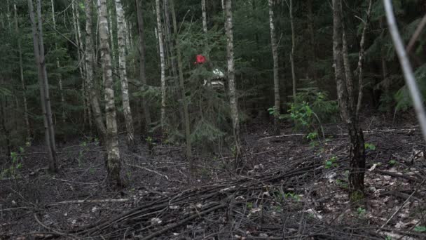 Турист Зрелый Мужчина Потерялся Темном Диком Ужасном Лесу Вечером Летящий — стоковое видео