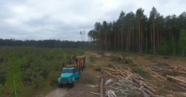 Yavaş yavaş aşağı zeminde, özel araba ile ormansızlaşma gövde ağacı döşeme ağaçların gövdeleri gösterilen ormansızlaşma üzerinde uçan havadan görünümü