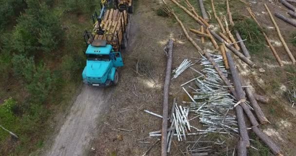 森林伐採森林樹幹特別車と地面に敷設の木の幹を表示の上をゆっくりと飛んで空撮 — ストック動画