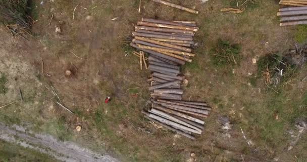 Luchtfoto Van Een Vogelperspectief Uitzicht Omgevallen Boomstammen Onder Ontbossing Forest — Stockvideo