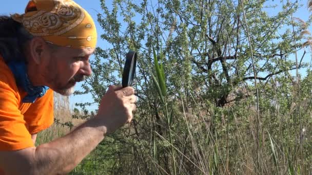 Hombre Maduro Viajero Naturaleza Por Mañana Con Lupa Mano Botánico — Vídeos de Stock