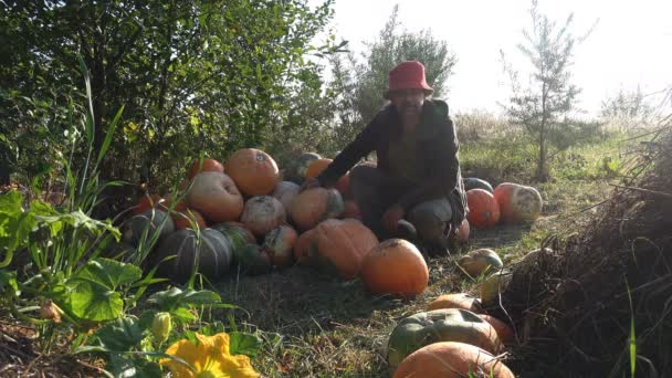 Maduro Agricultor Masculino Fala Sobre Colheita Outono Campo Agrícola Sua — Vídeo de Stock