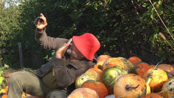 成熟的男性农民谈论通过视频聊天在秋天的南瓜在他的农场的农田上的收获 — 图库视频影像