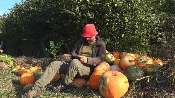 Agricultor Masculino Maduro Falando Chat Por Vídeo Colheita Abóboras Outono — Vídeo de Stock