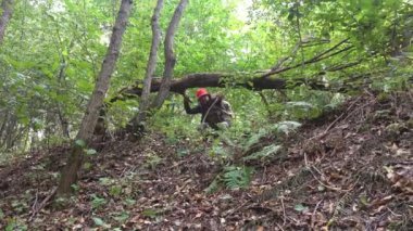 Olgun erkek gezgin bir sırt çantası ile vahşi ormana düşmüş bir ağacın altında geçirir. Yaz sabahları aktif tatil yürüyüş