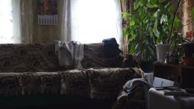 Ukrayna 'da kırsal bir evin içi, kanepeli bir oda ve kapalı çiçekli bir pencere.