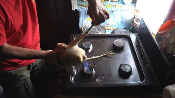 Male Hands Holding Raw Organic Chicken Fry Gas Stove Fire — Stock Video