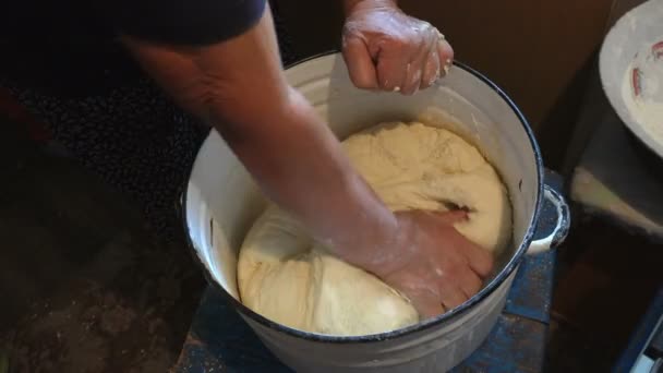 Women Hands Knead Dough Making Bread Iron Pan Farmer House — Stock Video