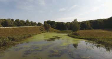 Bir orman göl ile pürüzsüz bir yüzey ve otoyolu yakınında, duckweed ve yosun hava görünümünde fantastik