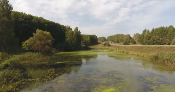 Вид Воздуха Уток Водорослей Лесное Озеро Гладкой Поверхностью Рядом Шоссе — стоковое видео