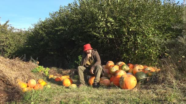 Maturo Maschio Contadino Libra Vaporizzare Poggiando Giallo Zucca Raccolto Autunno — Video Stock