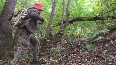 Olgun erkek gezgin bir sırt çantası ile vahşi ormana düşmüş bir ağacın altında geçirir. Yaz sabahları aktif tatil yürüyüş