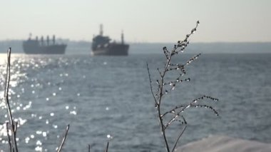 Karla kaplı nehir banka roadstead Kuru yük gemisi ile soğuk Nehri'nin su üzerine buz kaplı çalılar ile göster