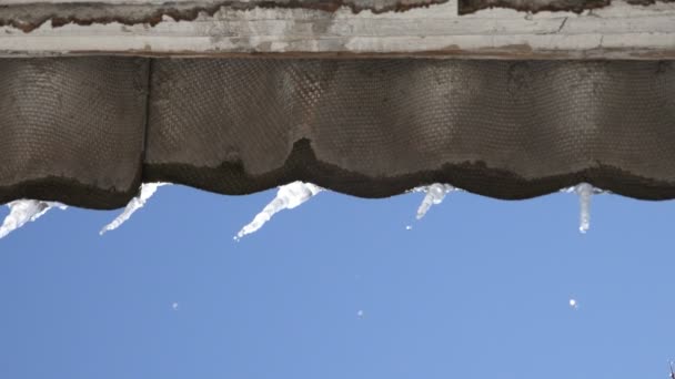 Gotas Agua Fluyen Por Carámbano Transparente Desde Techo Casa Principios — Vídeo de stock