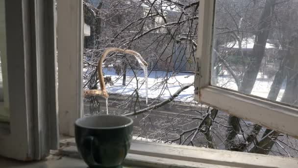 Cup Hot Coffee Old Windowsill Open Window Overlooking Winter Street — Stock Video