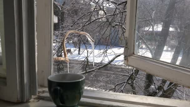 Tasse Heißen Kaffee Steht Auf Der Alten Fensterbank Mit Offenem — Stockvideo