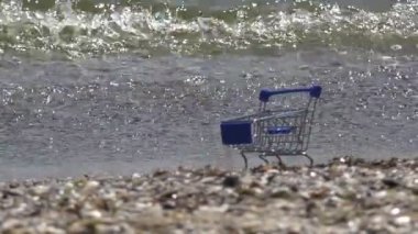 Kumsalı ile bir süpermarket arabası ayakta okyanus dalgalarının kuşlar martılar beslenirler