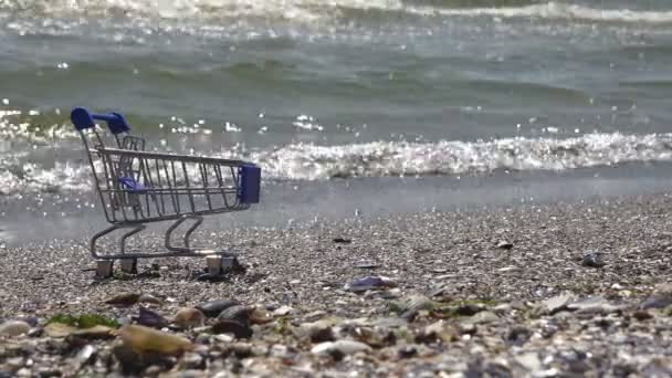 Einkaufswagen Aus Lebensmittelgeschäft Steht Meer Oder Auf Dem Meer — Stockvideo