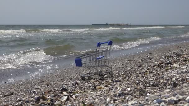 Σούπερ Μάρκετ Τρόλεϊ Από Μανάβικο Στέκεται Στην Παραλία Στον Ωκεανό — Αρχείο Βίντεο