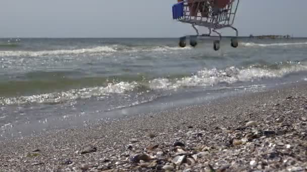 Mano Maschile Mette Carrello Dal Supermercato Prodotti Sulla Sabbia Mare — Video Stock