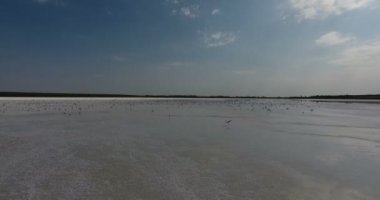 Bir beyaz tuz gölü, beyaz manzara ufuk için hava görünümünü. Ufukta uçan kuşlar martılar