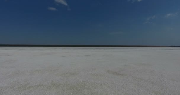 地平線に白い塩の湖 白い風景の空撮 地平線上の飛行の鳥カモメ — ストック動画