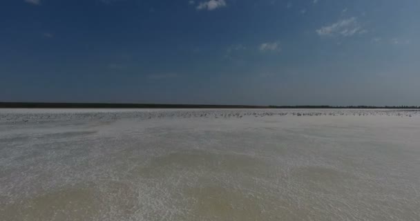 地平線に白い塩の湖 白い風景の空撮 地平線上の飛行の鳥カモメ — ストック動画