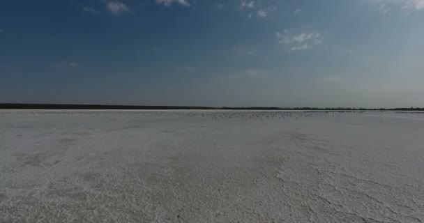 Αεροφωτογραφία Του Ένα Λευκό Λίμνη Αλάτι Λευκό Τοπίο Στον Ορίζοντα — Αρχείο Βίντεο