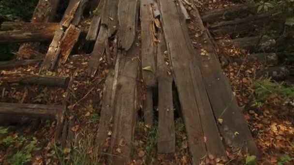 森林溪流上的老桥 中间有大洞的烂木板和圆木 很危险 — 图库视频影像