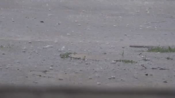 Gotas Chuva Caem Chão Poças Uma Noite Verão Piscinas Asfalto — Vídeo de Stock