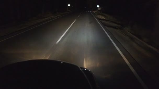 Nocna Autostrada Reflektorach Znaki Odblaskowe Wzdłuż Drogi Nocnej Odbicie Reflektorów — Wideo stockowe