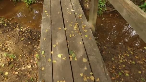 Movimiento Pequeño Puente Madera Que Consiste Tablas Través Arroyo Forestal — Vídeos de Stock