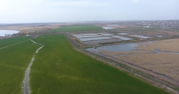 Luftaufnahme Von Künstlichen Fischteichen Plätze Mit Wasser Inmitten Grüner Landwirtschaftlicher — Stockvideo